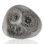 50080184-5.jpg