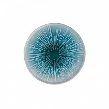 Тарелка мелкая (d)21см