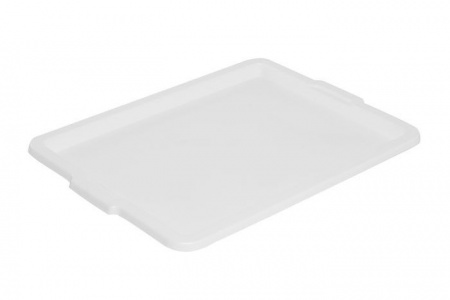 Поднос 48х37см